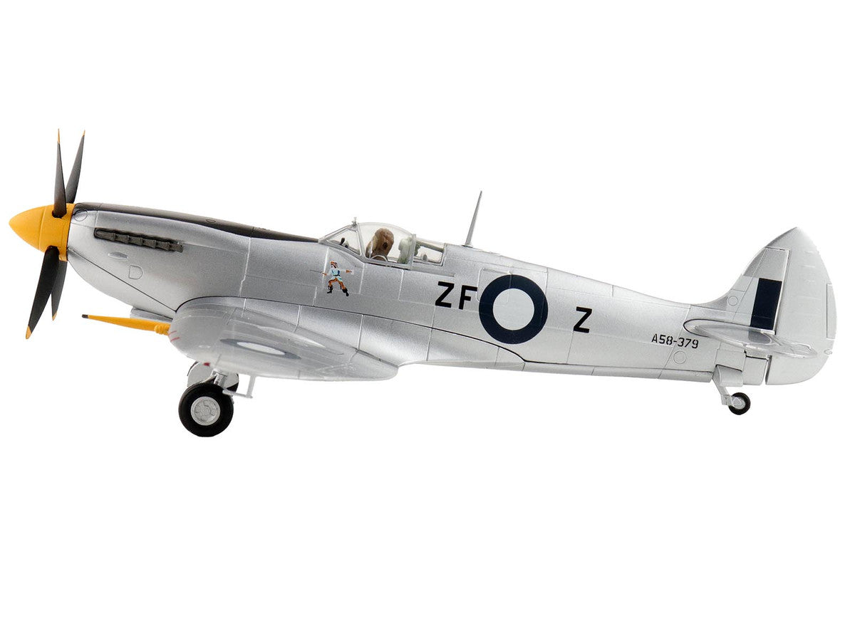 Supermarine Spitfire Mk VIII Fighter Aircraft "A53-379 Flight Lieutenant David Glaser No. 549 Squadron Strauss Airstrip" (1944) Royal Australian Air Force "Air Power Series" 1/48 Diecast Model by Hobby Master by Hobby Master
