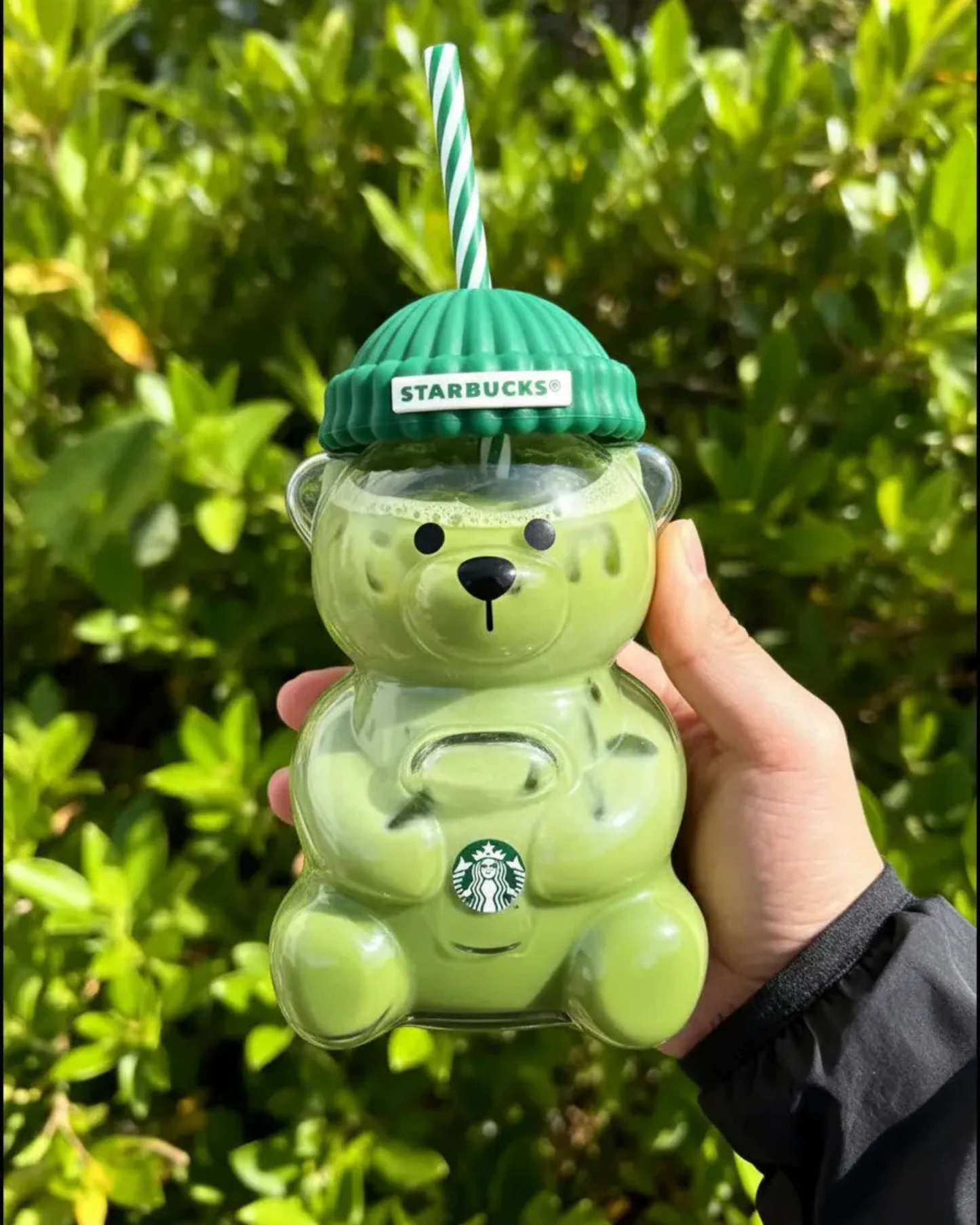 Bearista™ Bear Cup –  By Alvaya Space